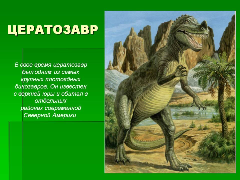 Открытки